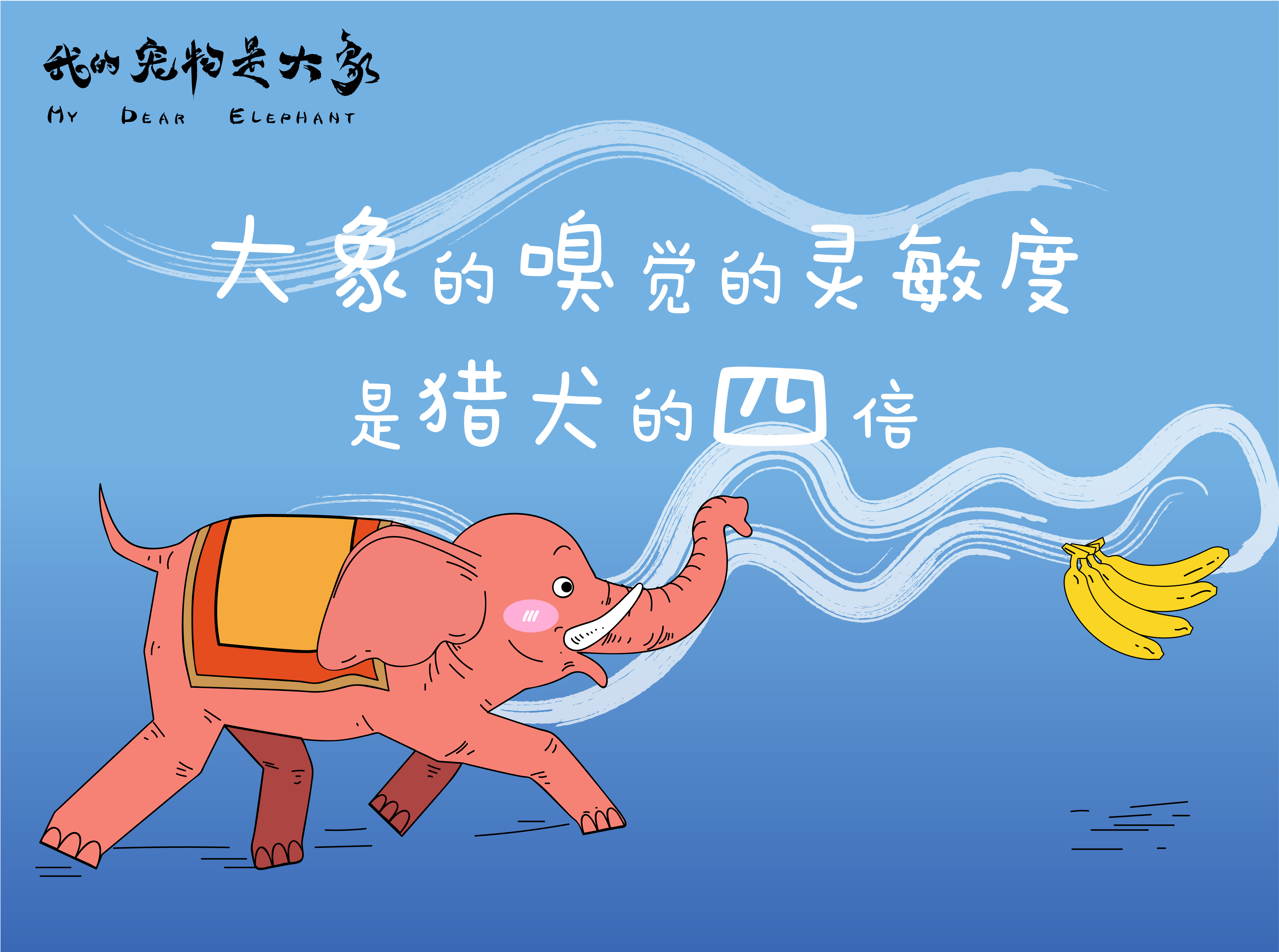 我的宠物是大象剧照的剧照