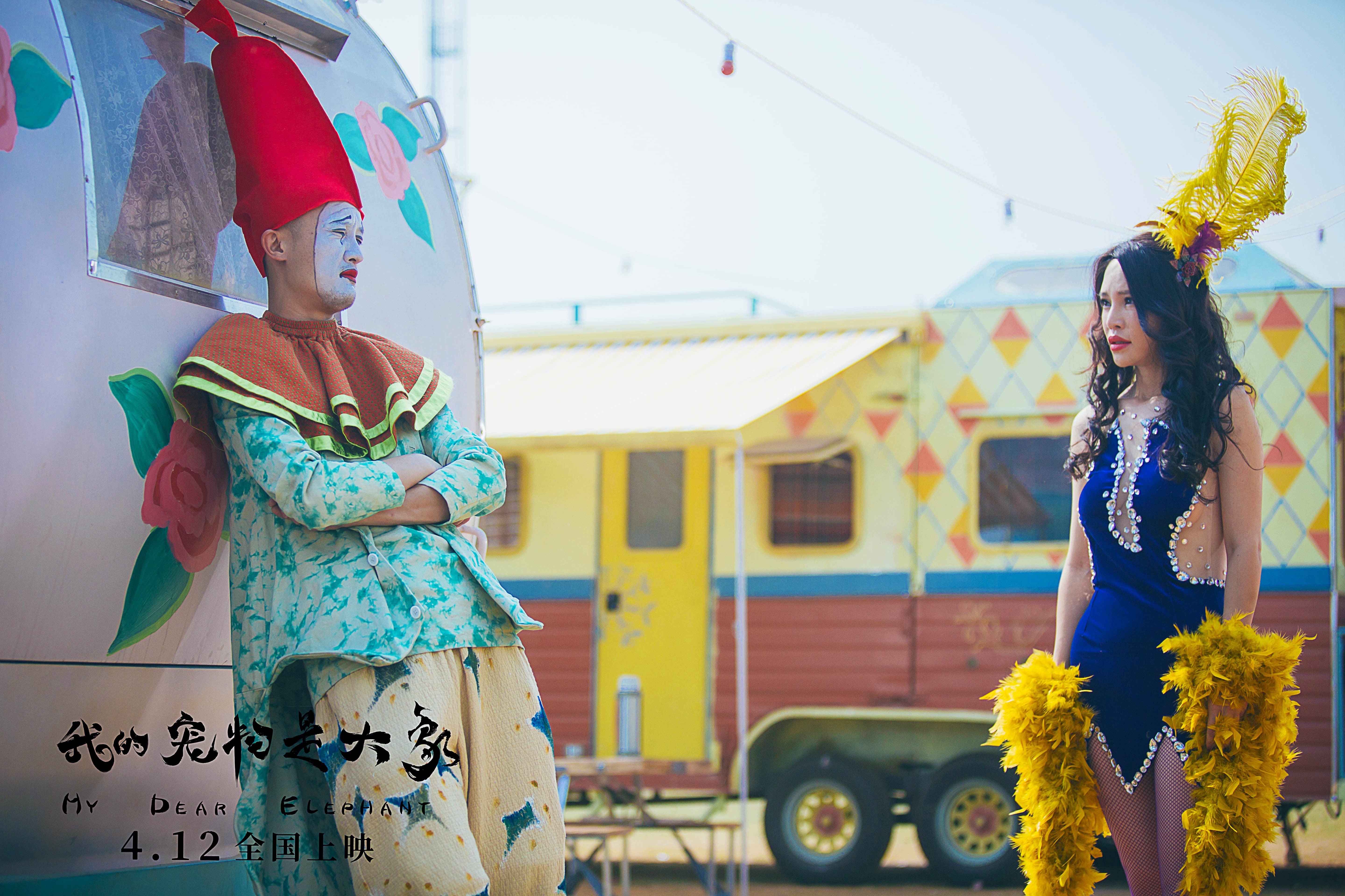 我的宠物是大象剧照的剧照