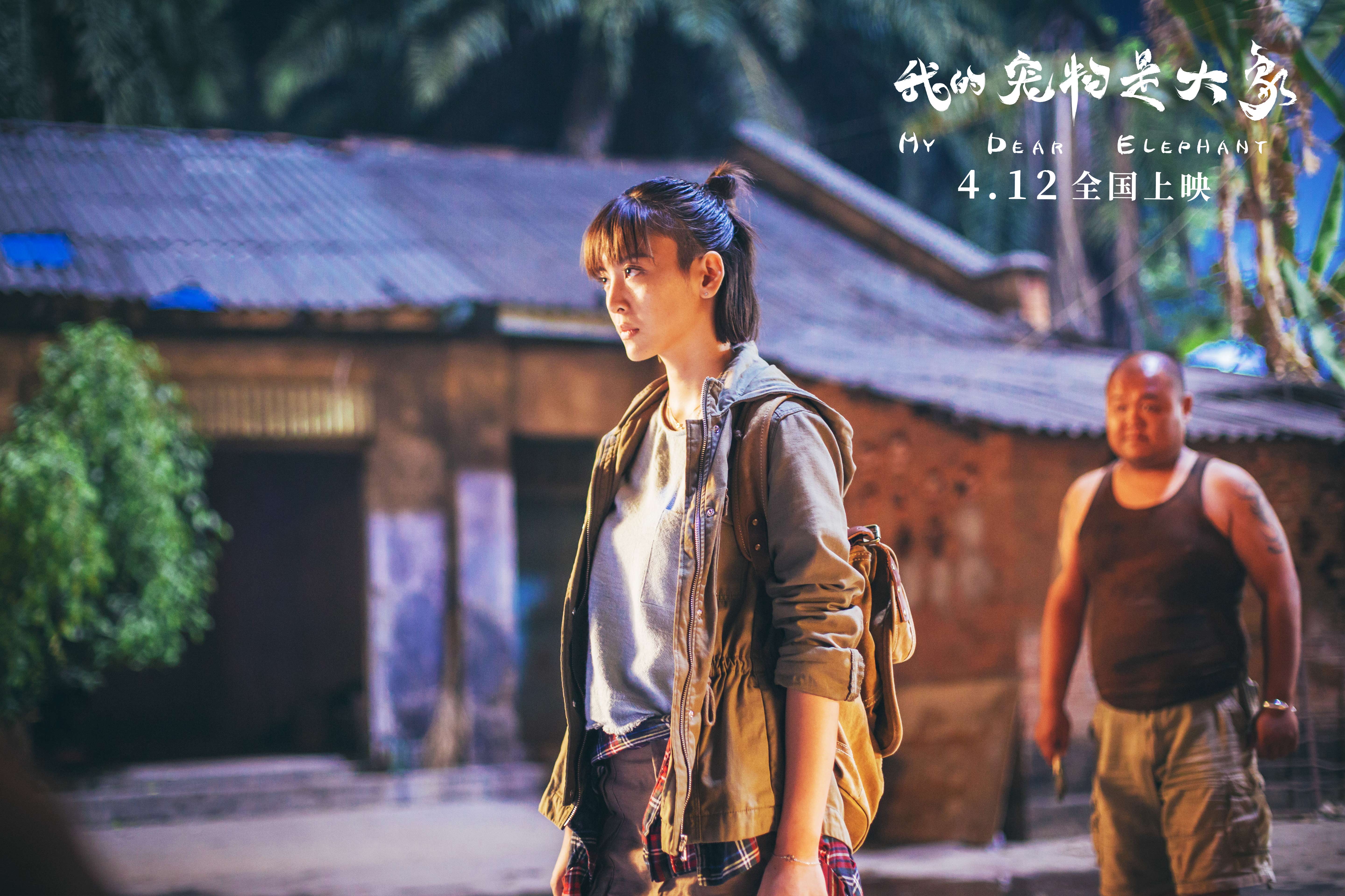 我的宠物是大象剧照的剧照