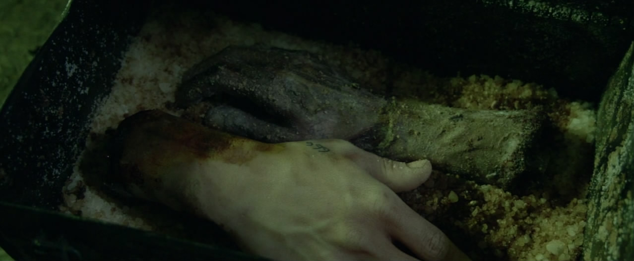 冰岛黑风暴剧照的剧照