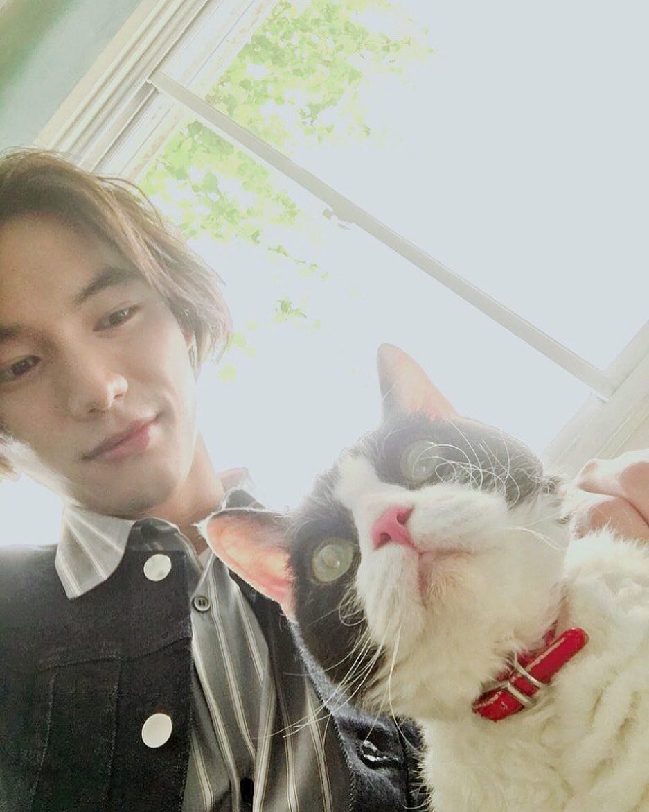 旅猫日记剧照的剧照