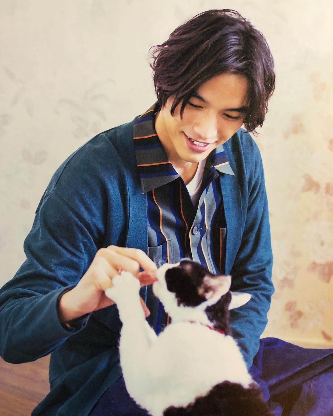 旅猫日记剧照的剧照