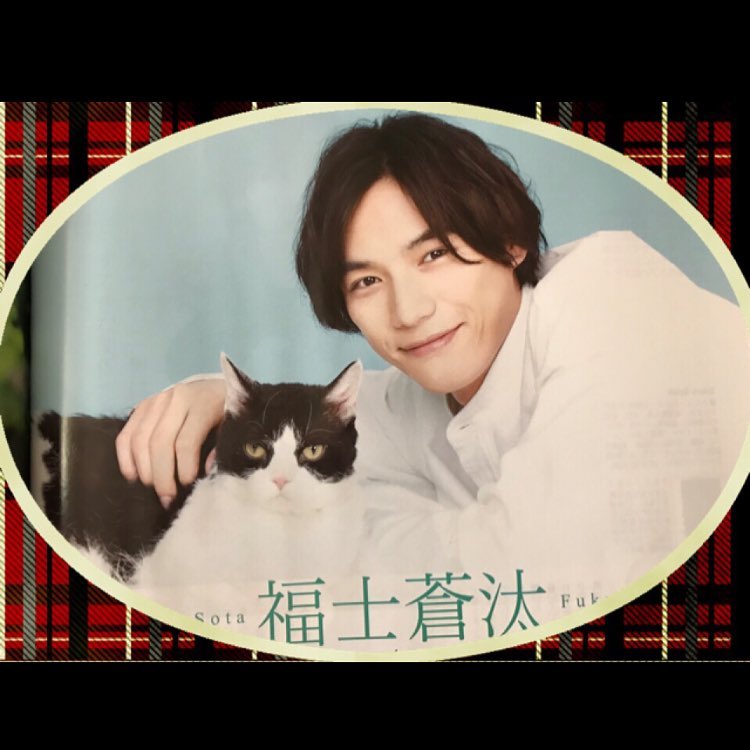 旅猫日记剧照的剧照