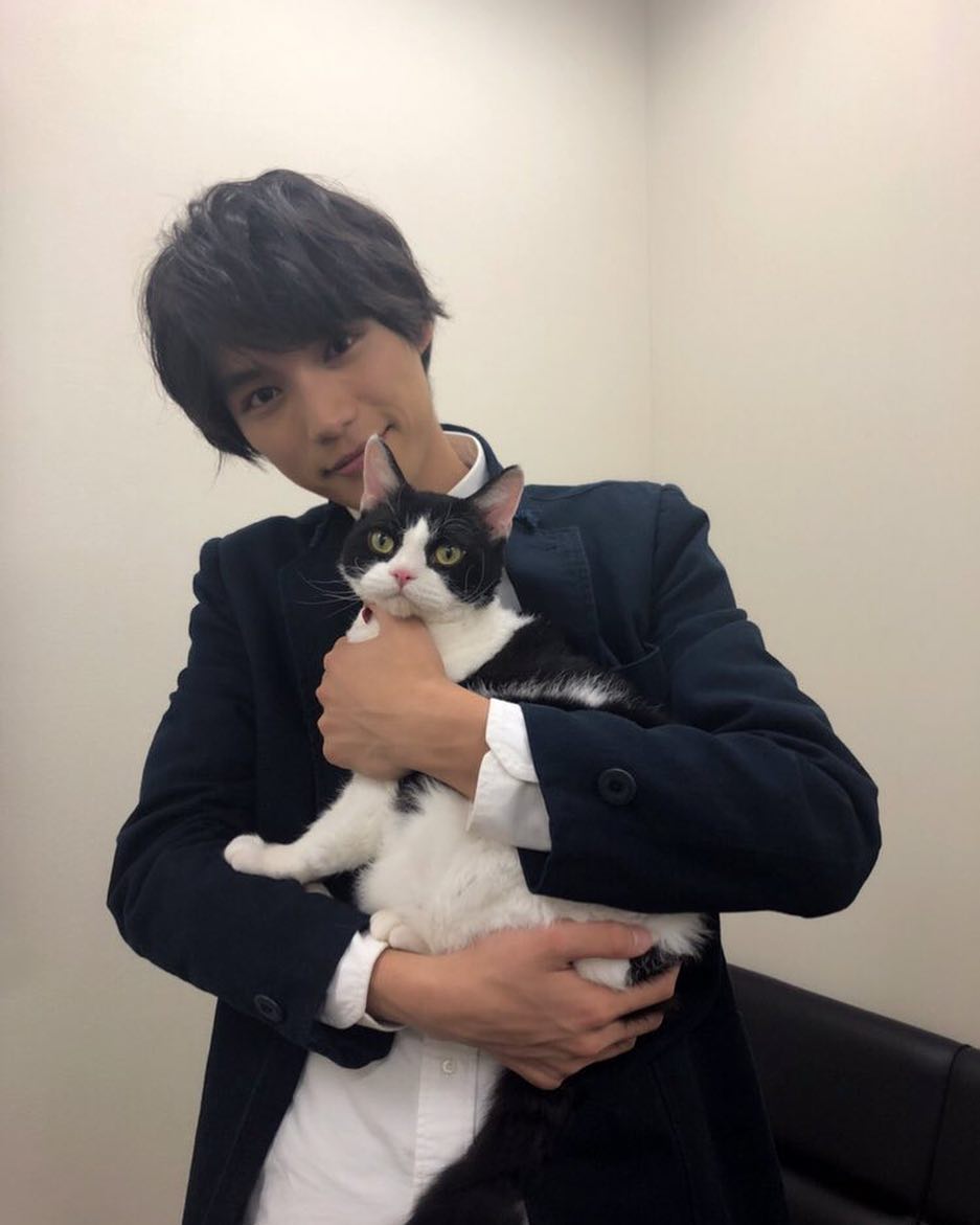 旅猫日记剧照的剧照