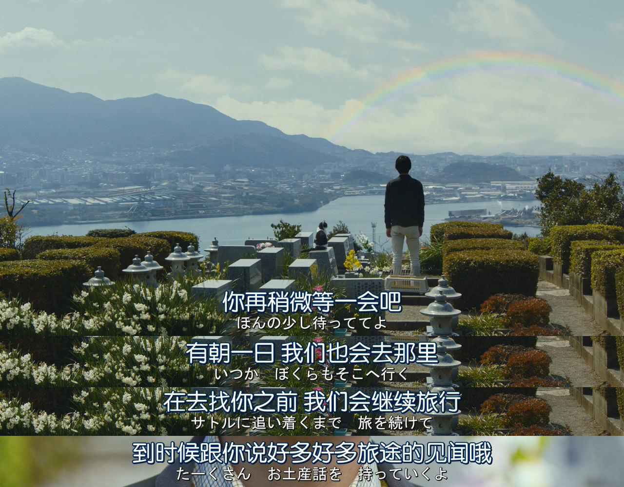 旅猫日记剧照的剧照