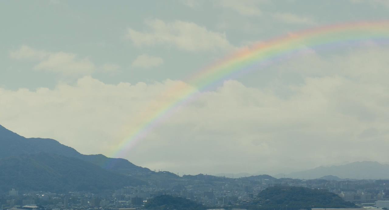 旅猫日记剧照的剧照