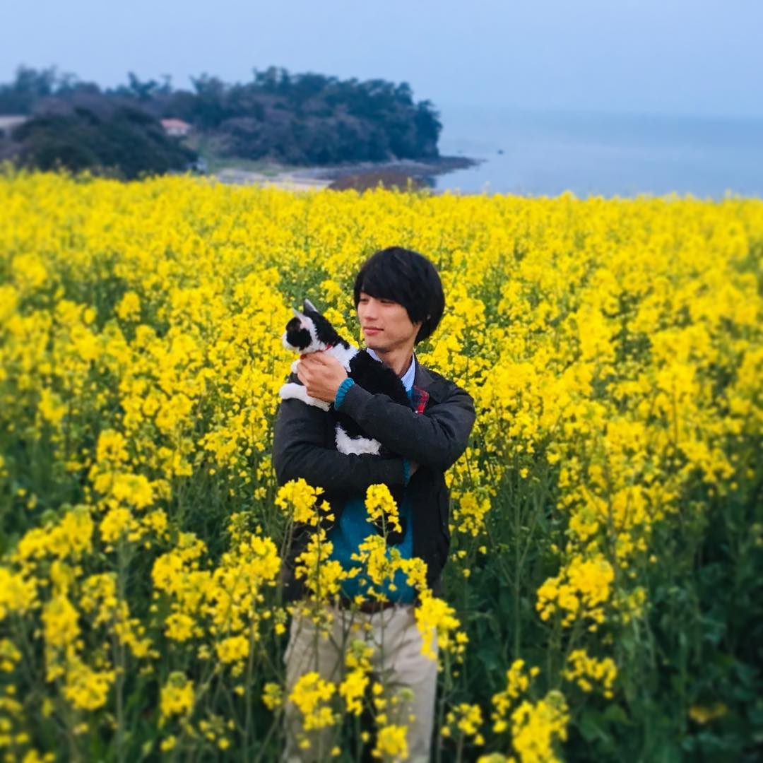 旅猫日记剧照的剧照