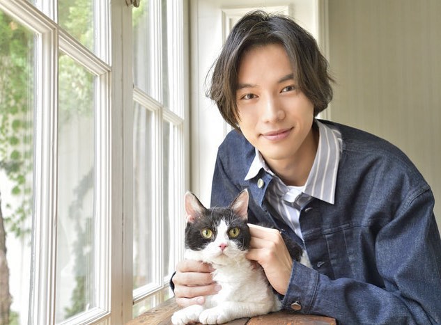 旅猫日记剧照的剧照