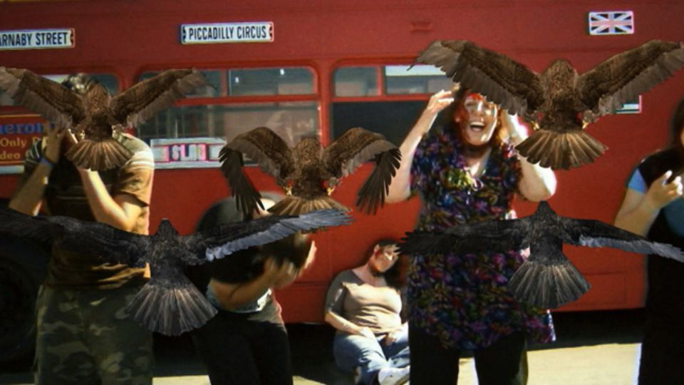 群鸟：震惊和恐怖剧照的剧照