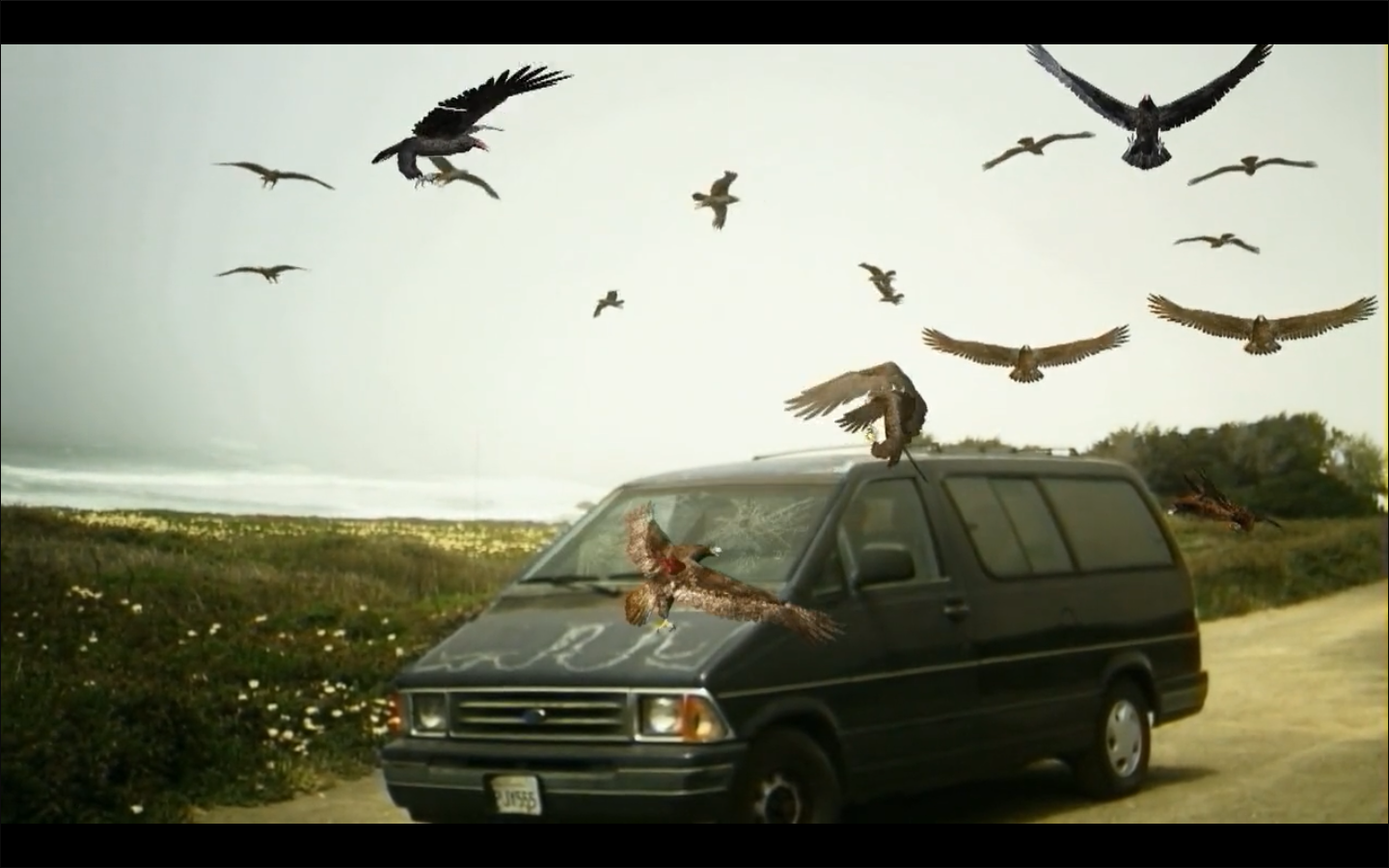 群鸟：震惊和恐怖剧照的剧照