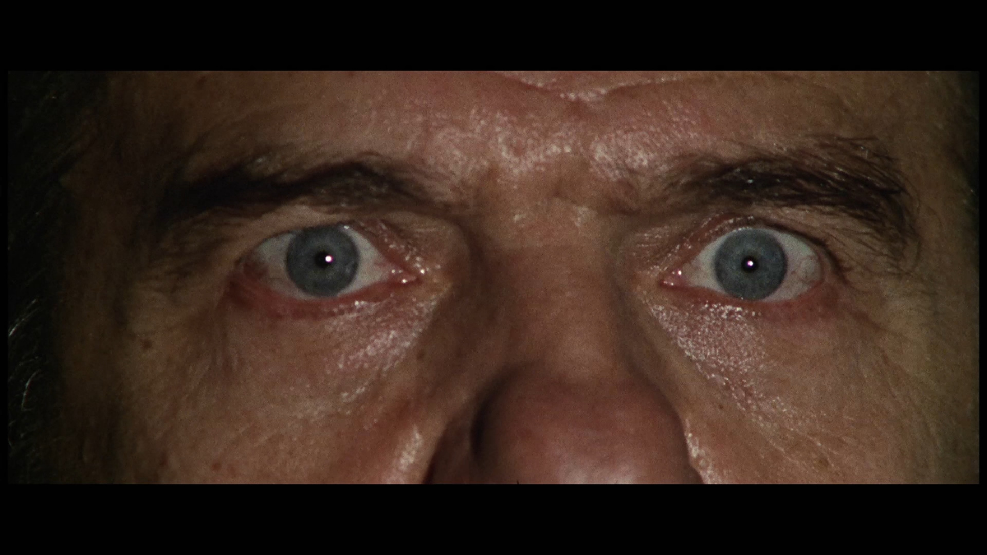 九尾怪猫剧照的剧照