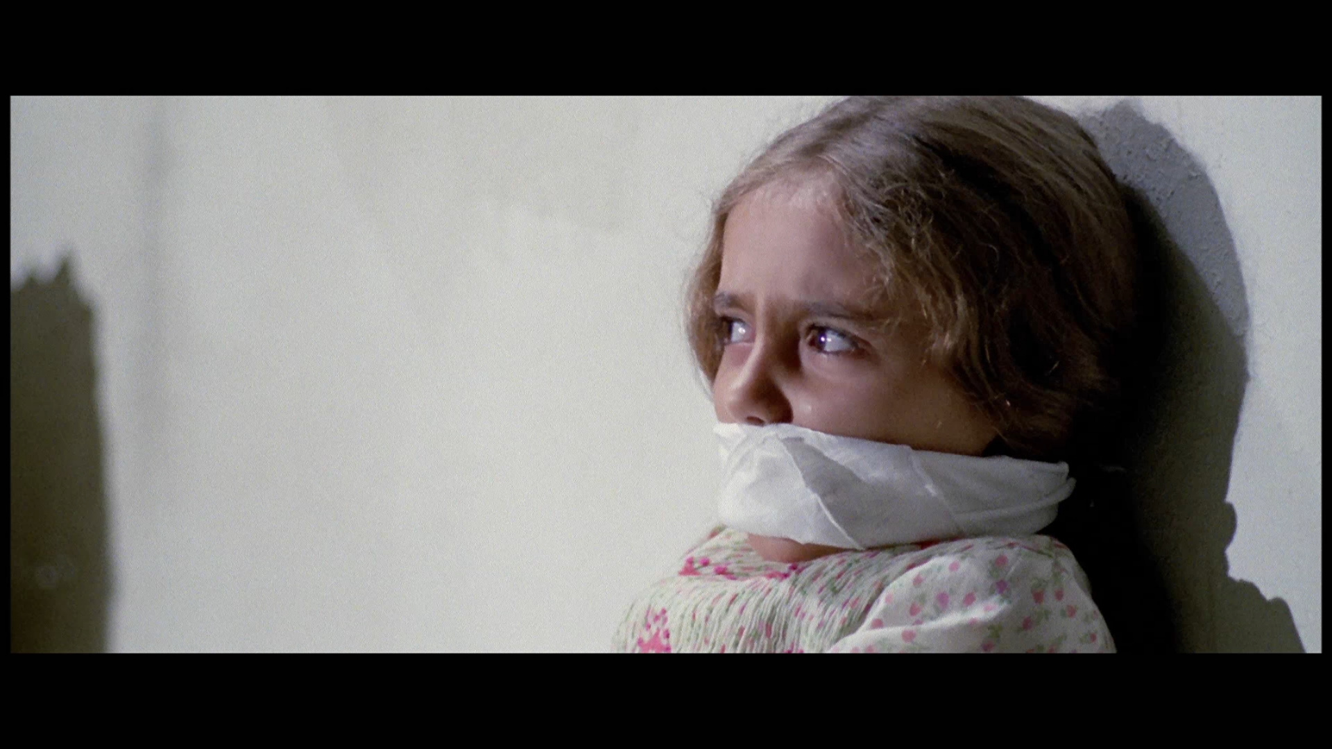 九尾怪猫剧照的剧照