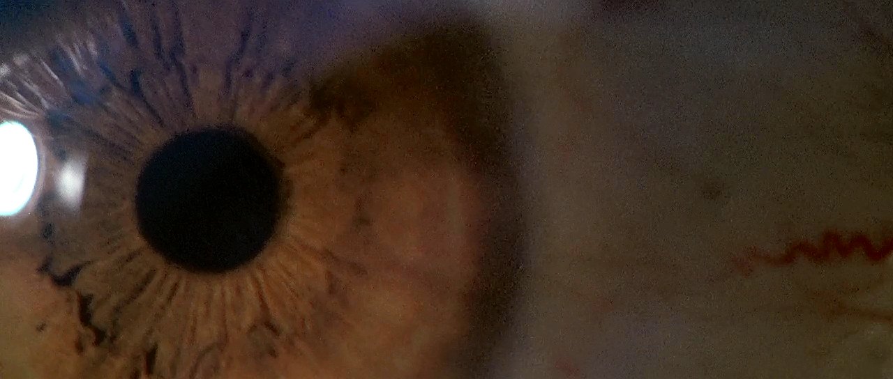 九尾怪猫剧照的剧照