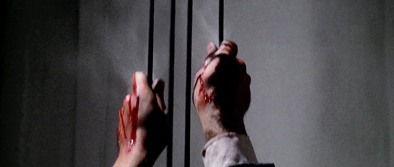 九尾怪猫剧照的剧照