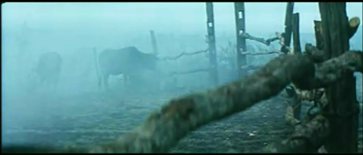 棋王剧照的剧照