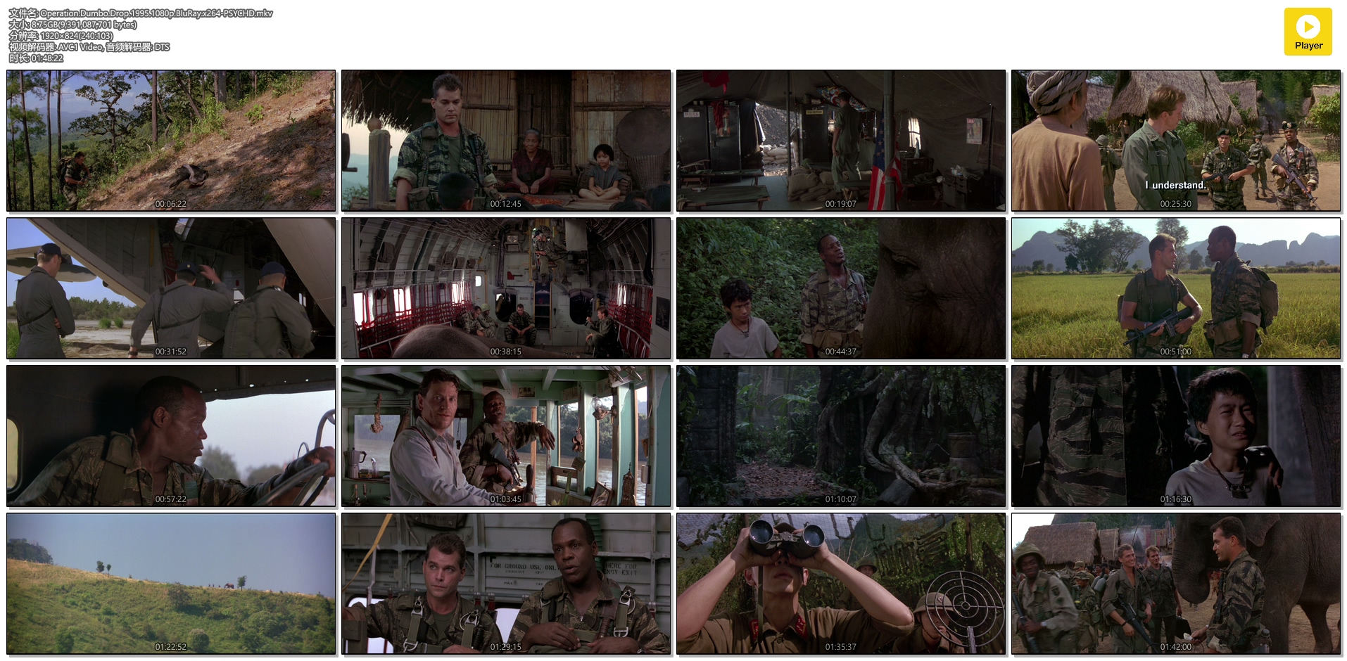 飞象计划剧照的剧照