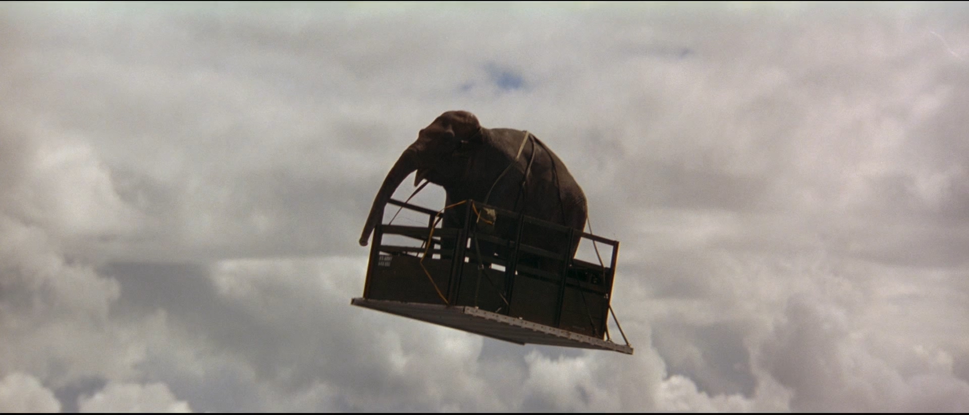 飞象计划剧照的剧照