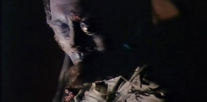 淫种剧照的剧照