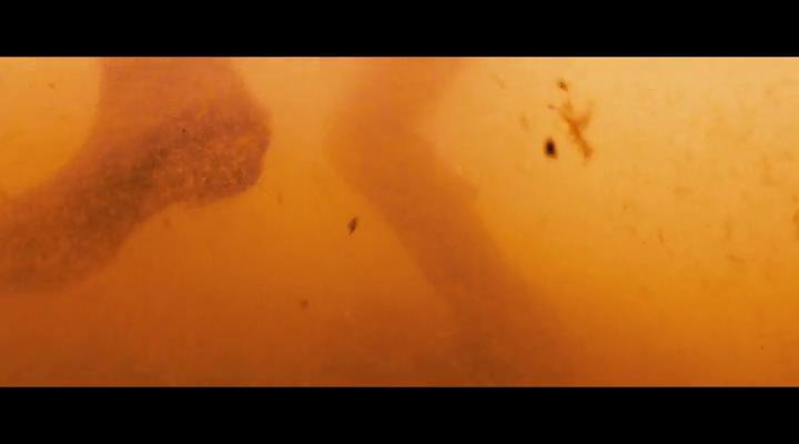 雪崩王子剧照的剧照