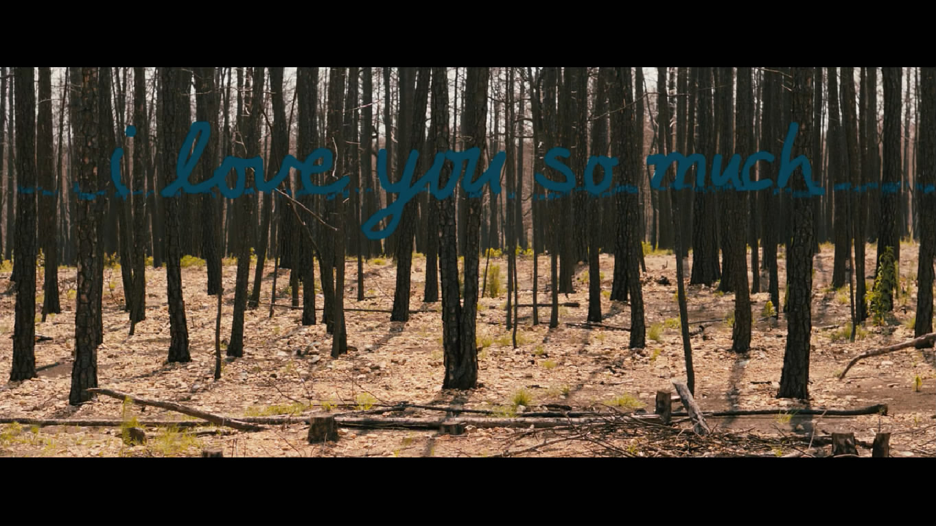 雪崩王子剧照的剧照