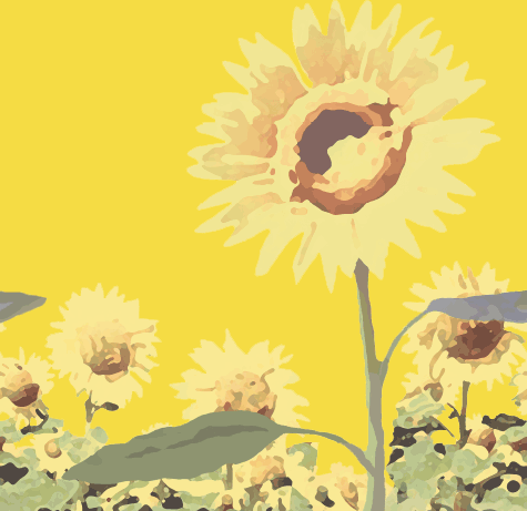 小花的味噌汤剧照的剧照