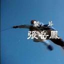 少林真功夫剧照