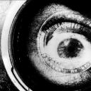 持摄影机的人剧照