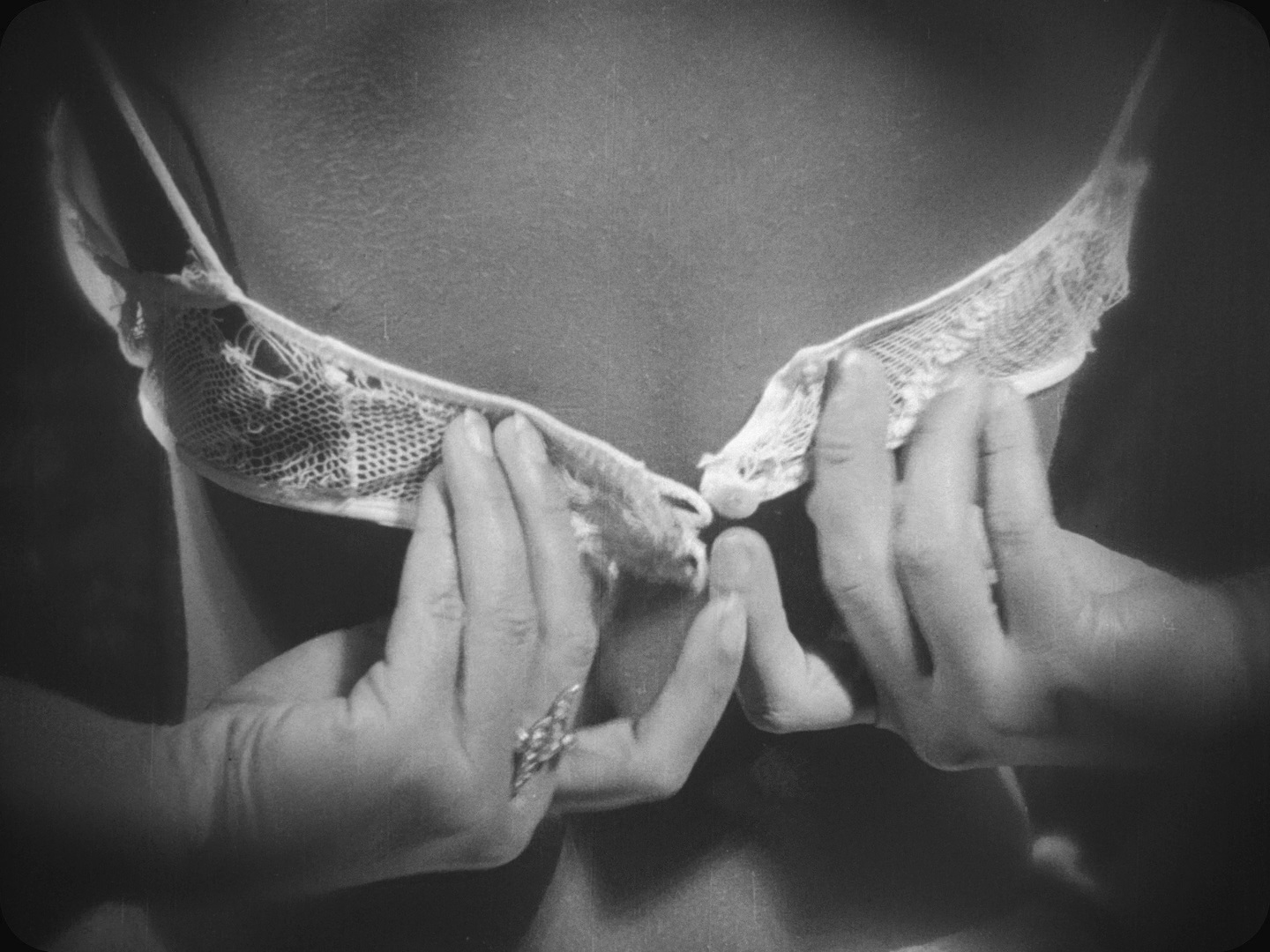 持摄影机的人剧照的剧照