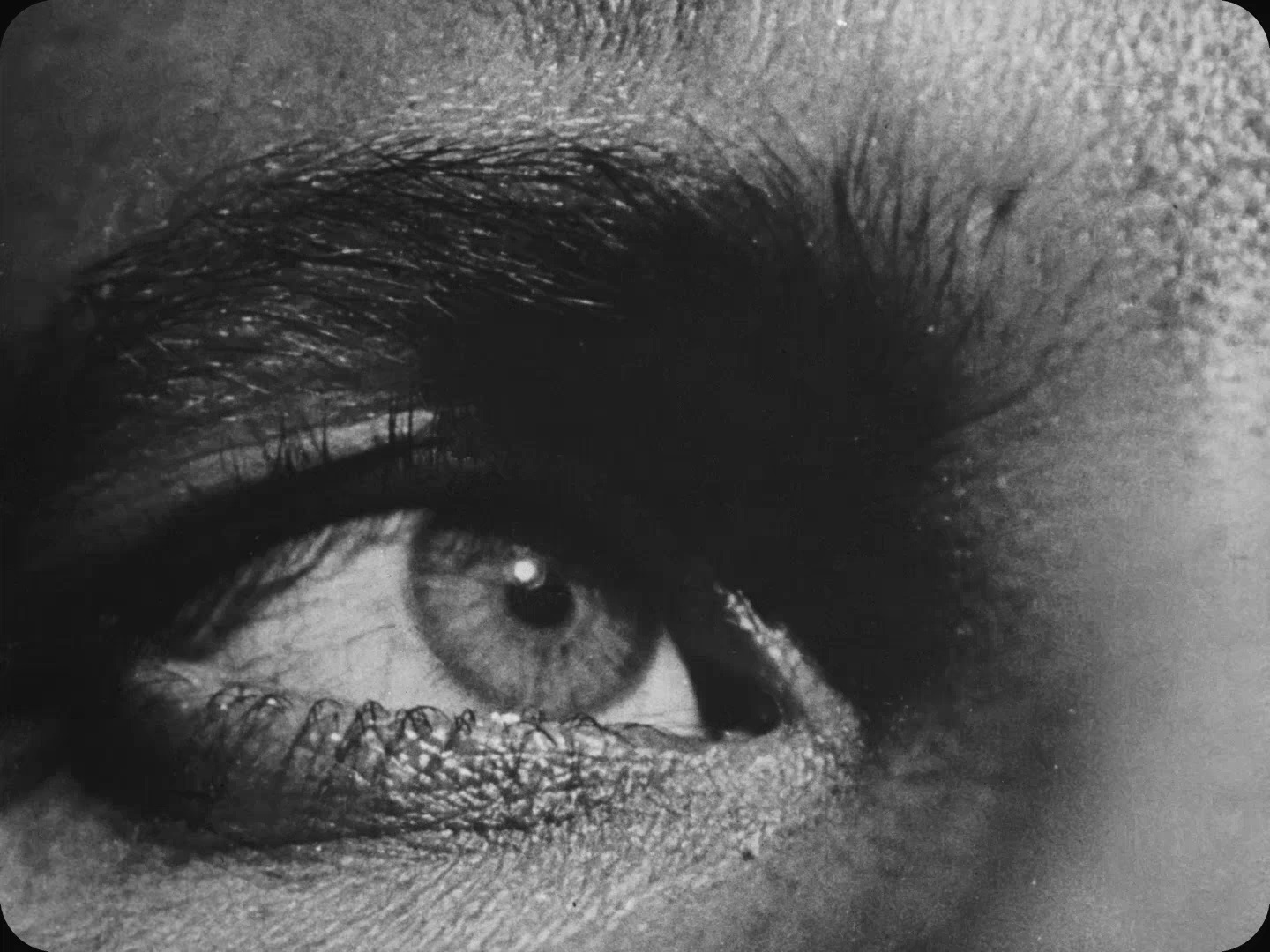 持摄影机的人剧照的剧照