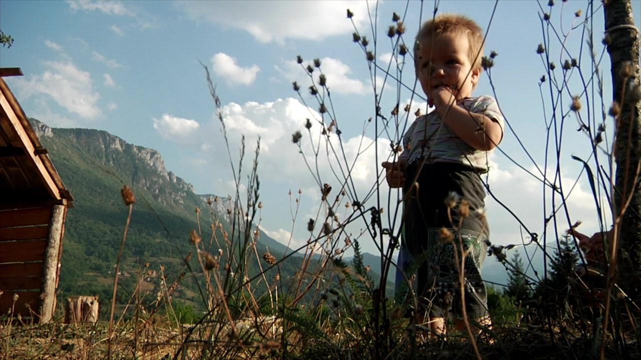 持摄影机的人剧照的剧照