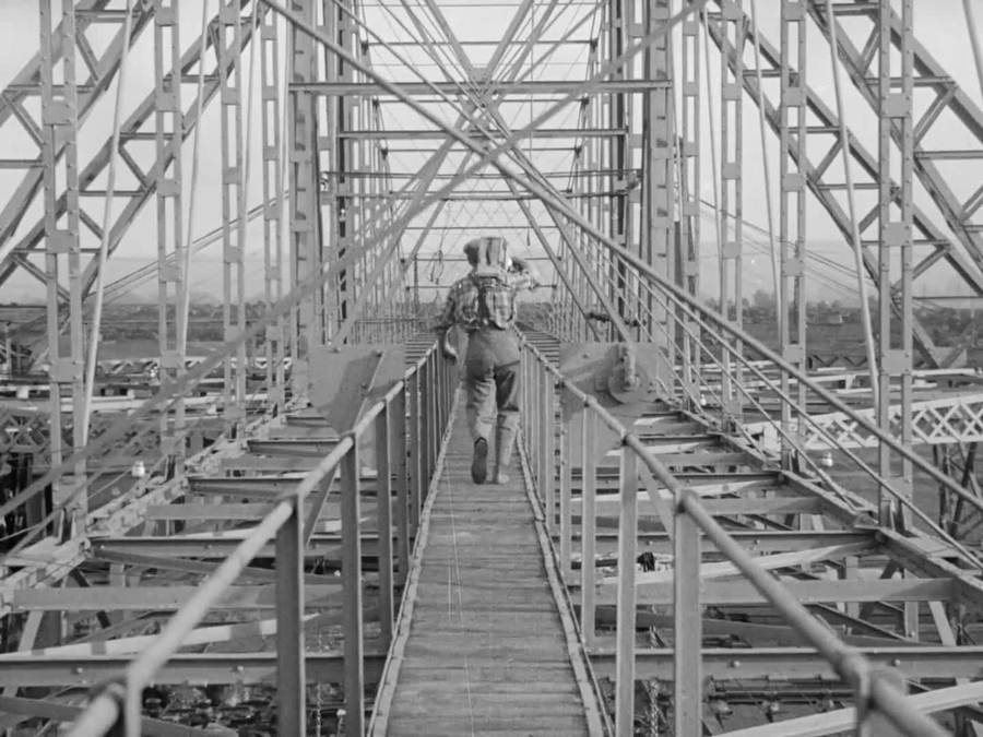 持摄影机的人剧照的剧照