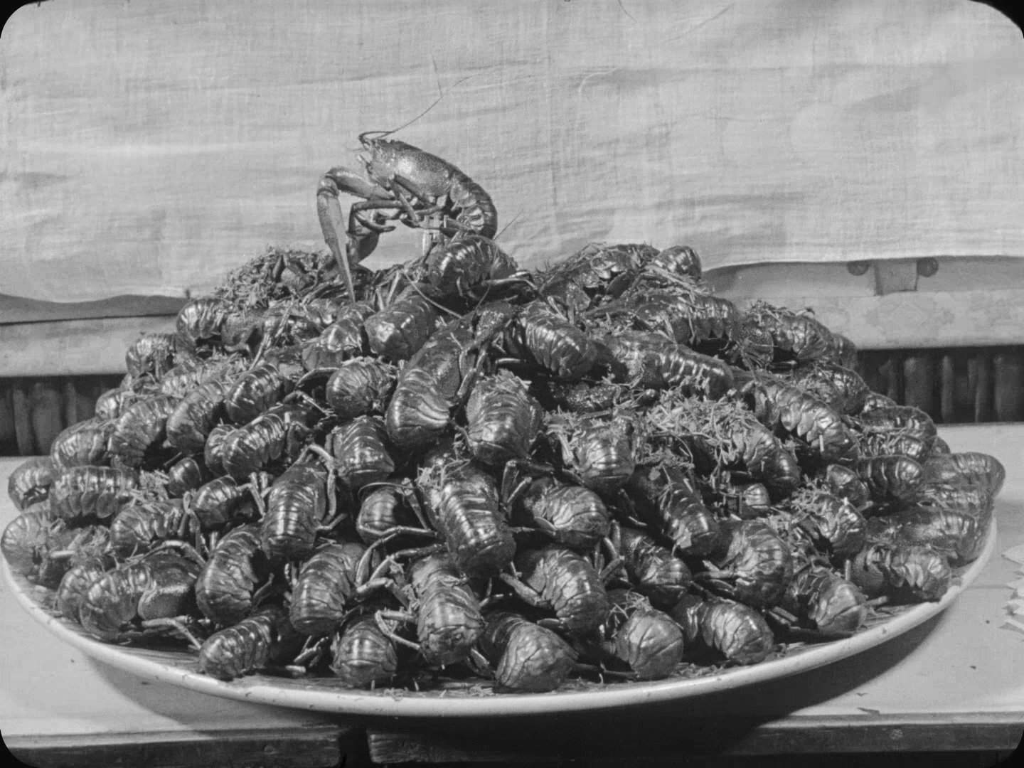 持摄影机的人剧照的剧照