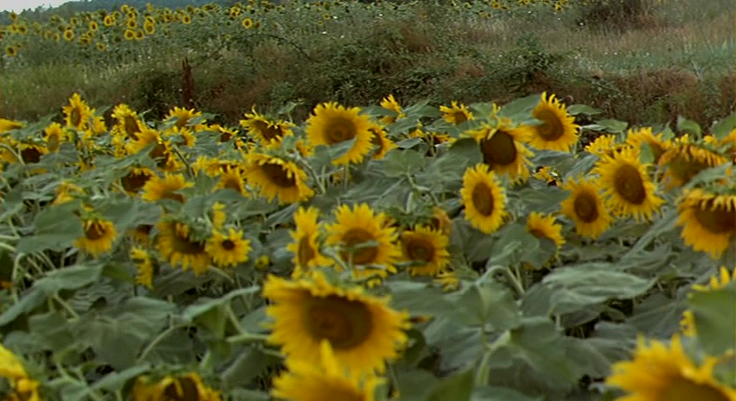 别忘记你将死剧照的剧照