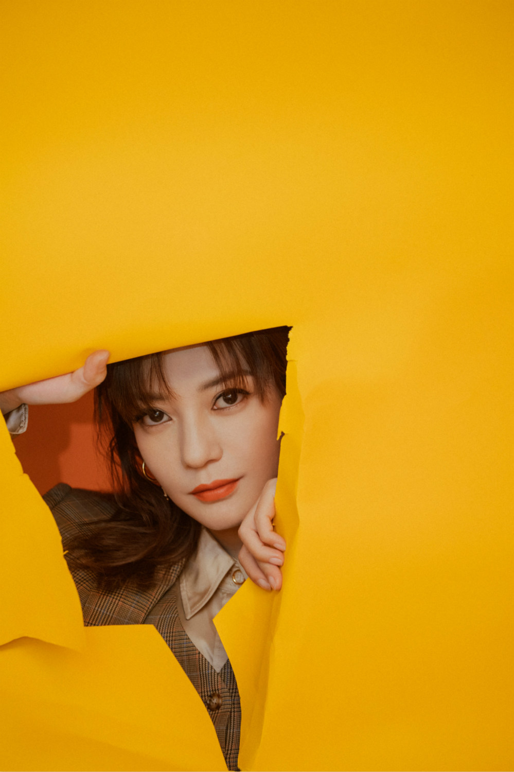 两只老虎剧照的剧照