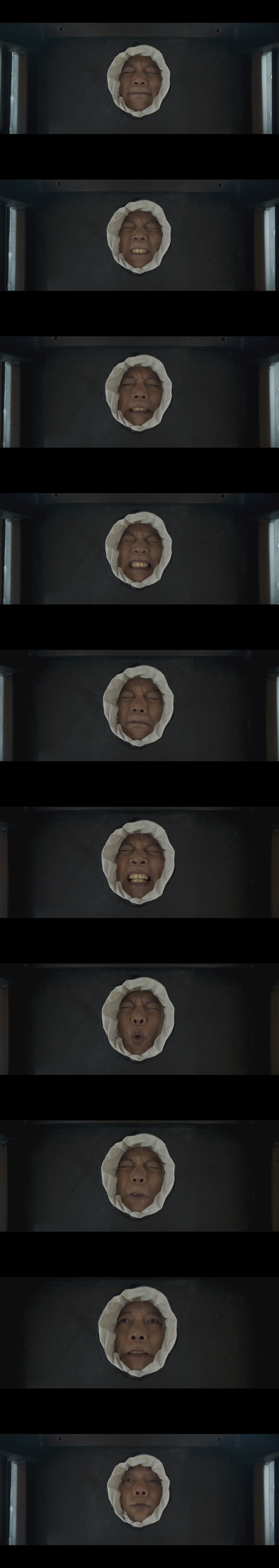 两只老虎剧照的剧照