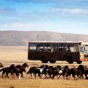 飞越老人院剧照