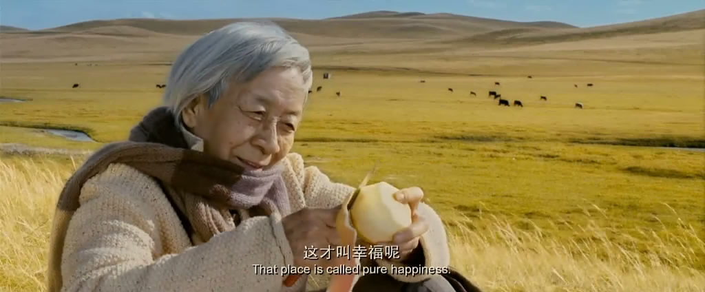 飞越老人院剧照的剧照