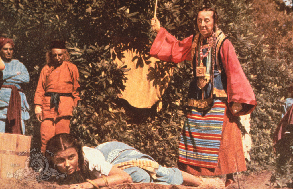 黑水仙剧照的剧照