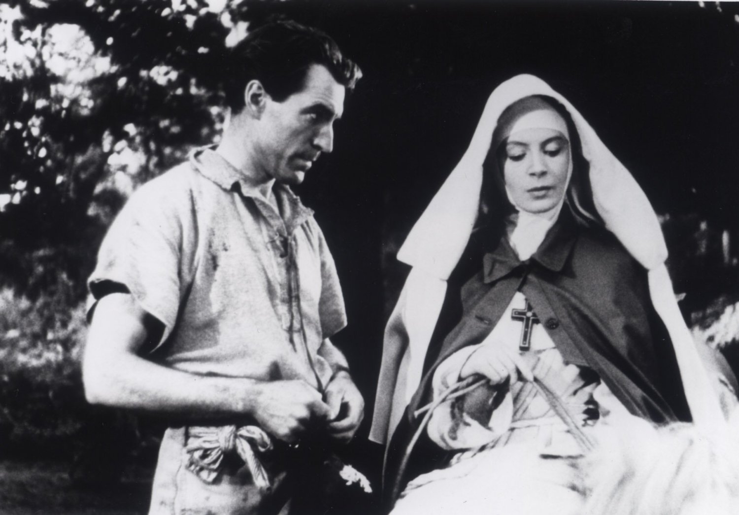 黑水仙剧照的剧照