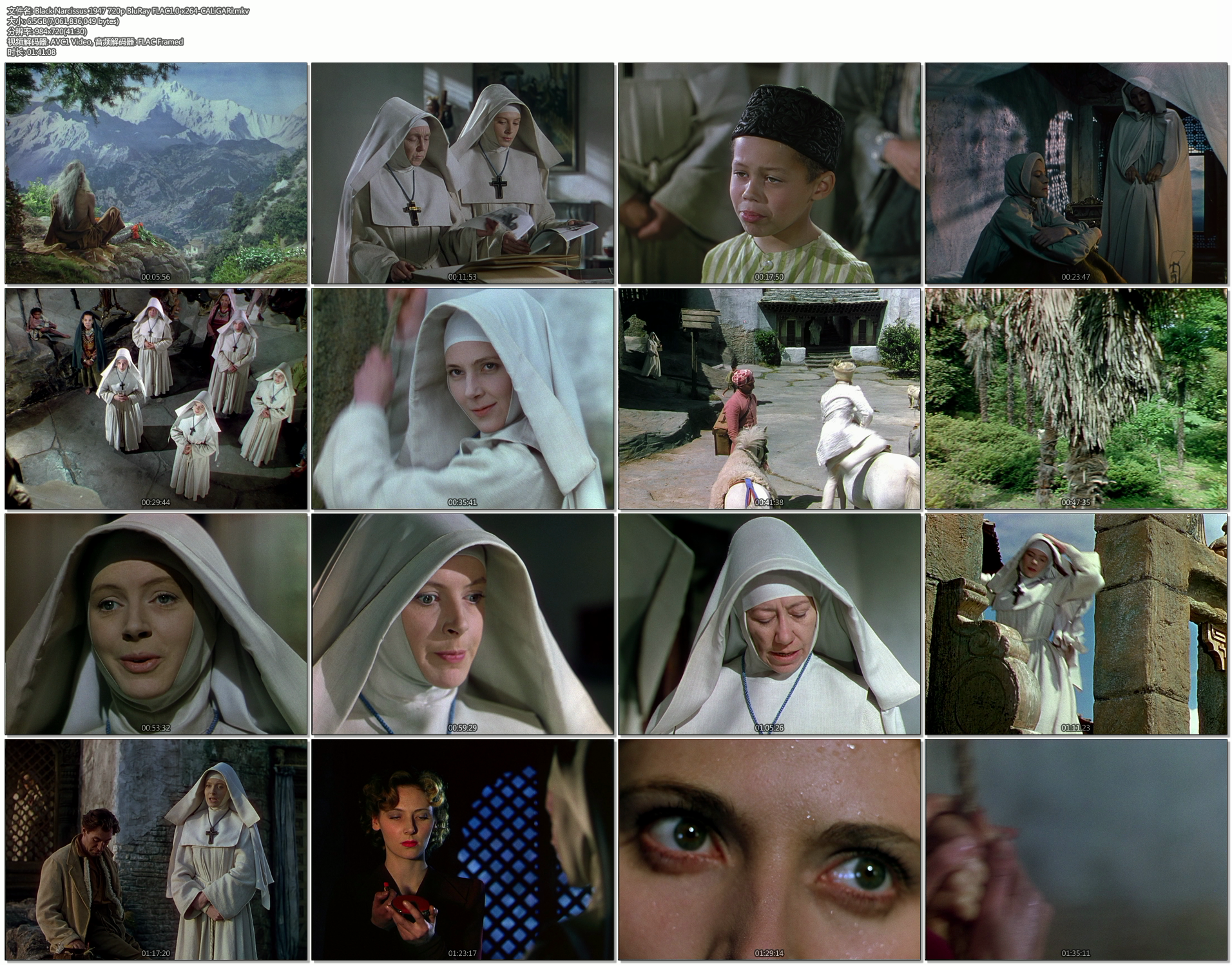 黑水仙剧照的剧照