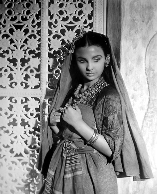 黑水仙剧照的剧照