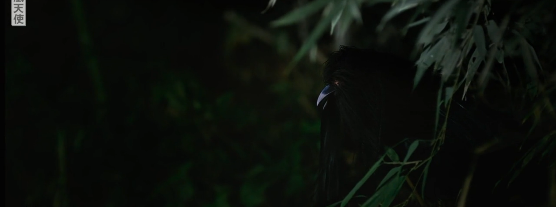 0.0兆赫剧照的剧照