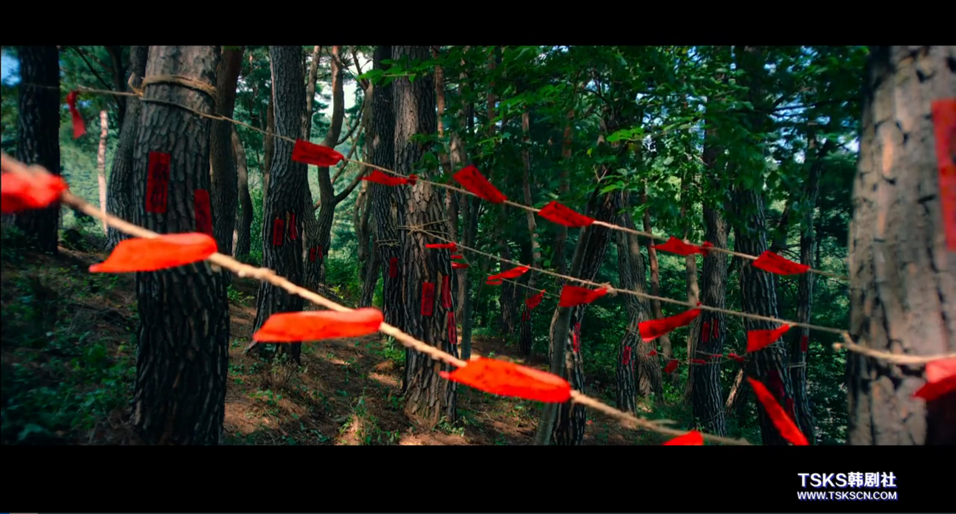 0.0兆赫剧照的剧照