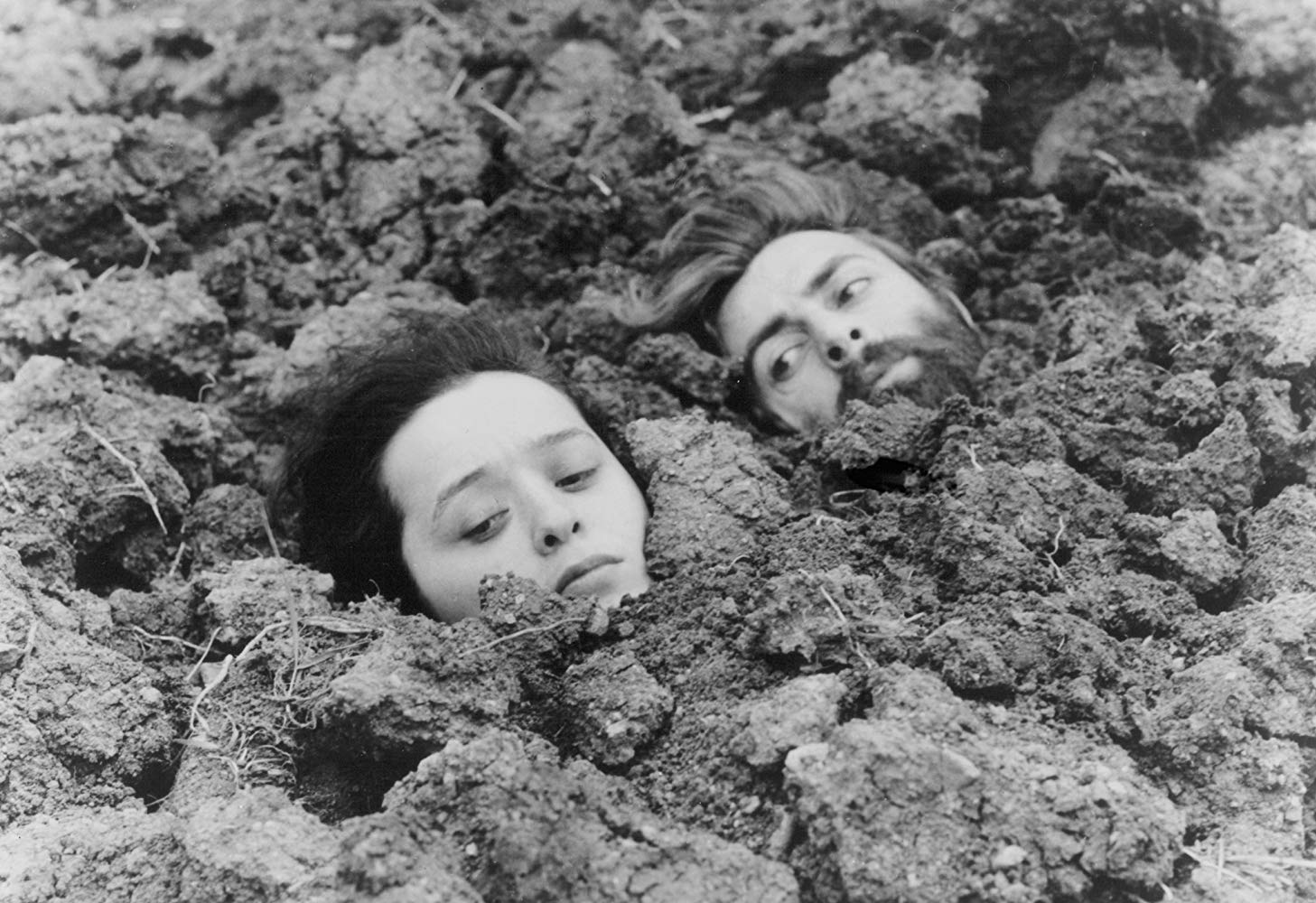 忏悔剧照的剧照