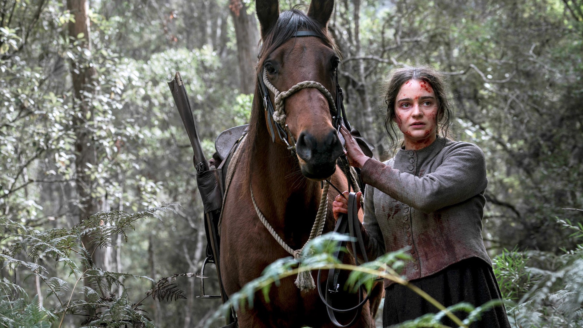 夜莺剧照的剧照