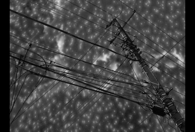 她和她的猫剧照的剧照