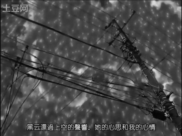 她和她的猫剧照的剧照