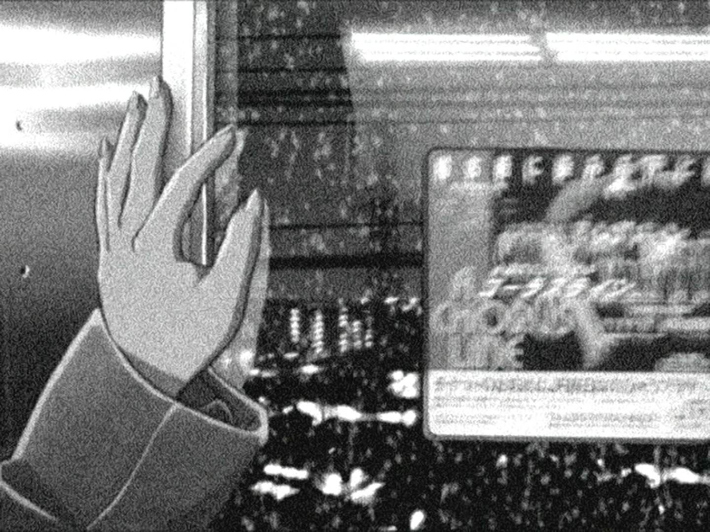 她和她的猫剧照的剧照