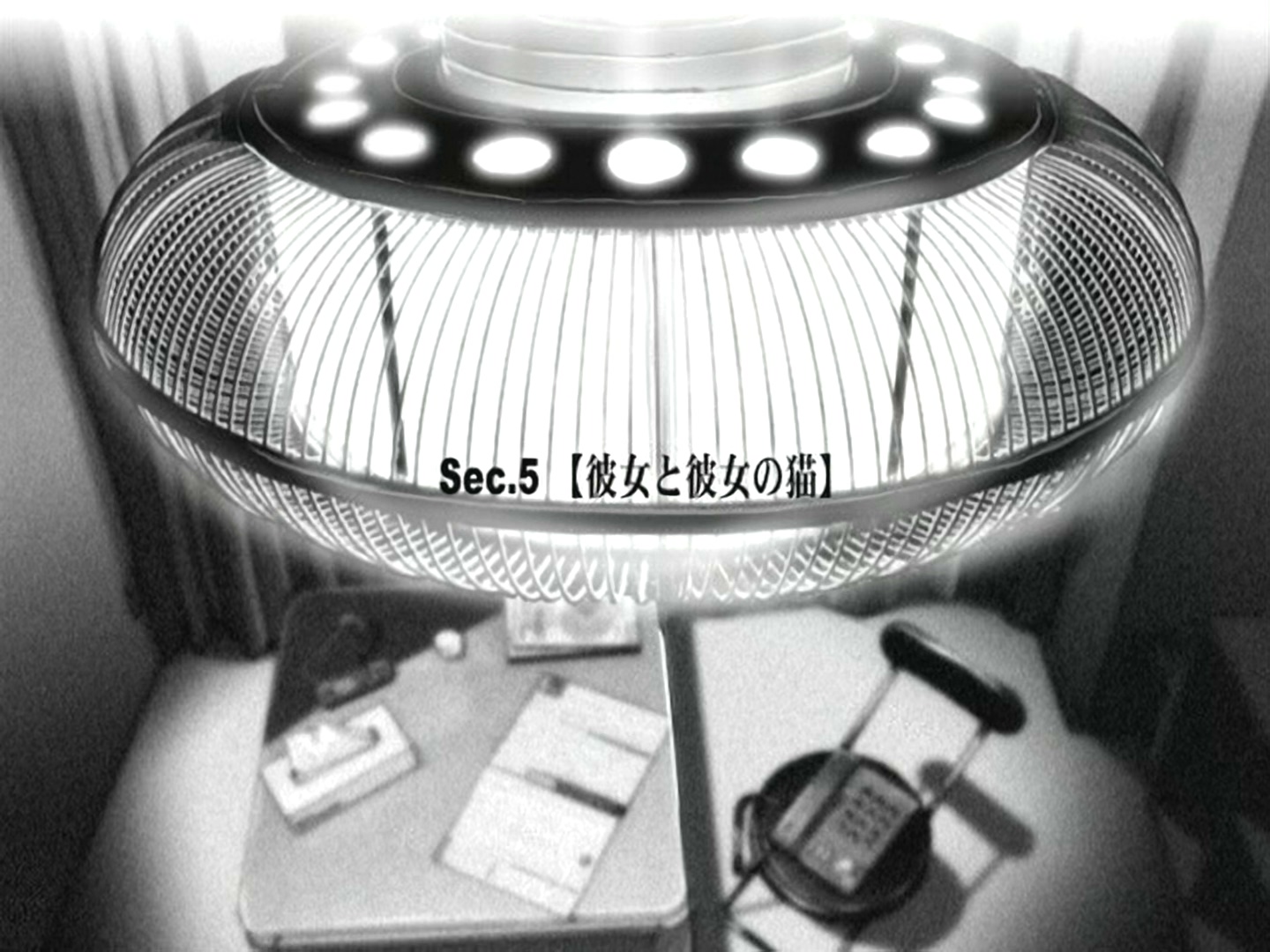 她和她的猫剧照的剧照