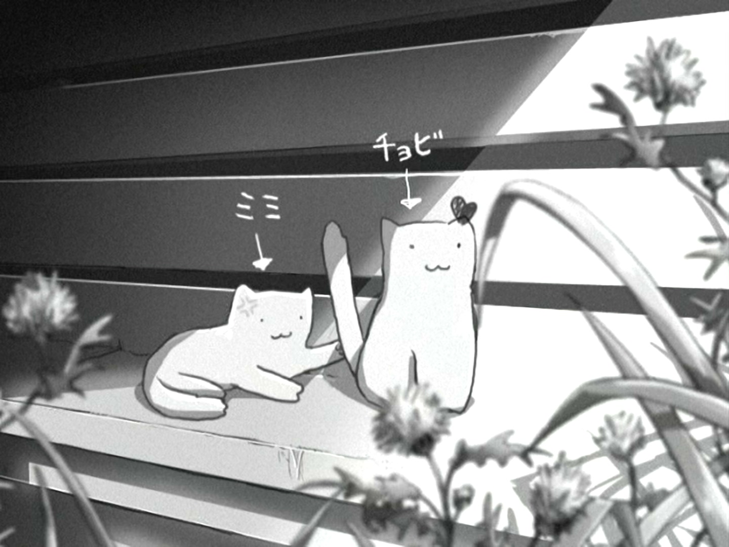 她和她的猫剧照的剧照